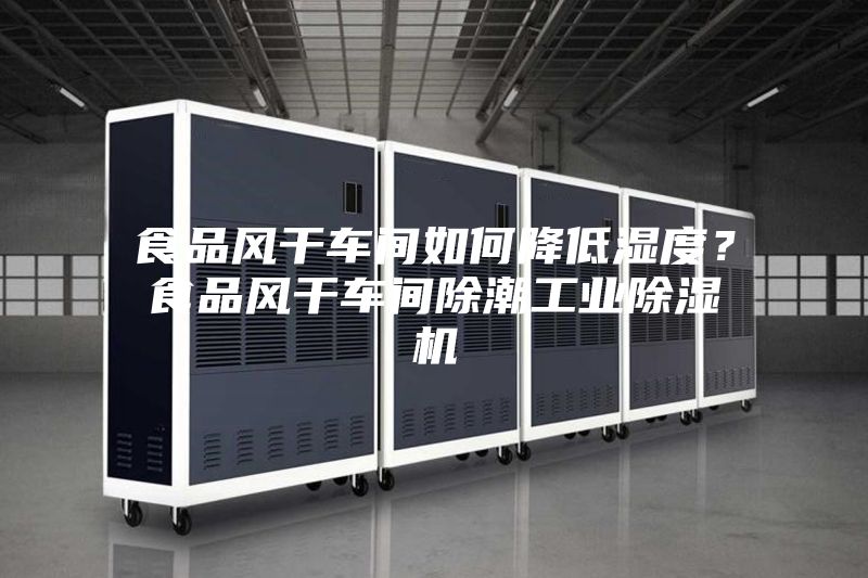 食品风干车间如何降低湿度？食品风干车间除潮工业除湿机
