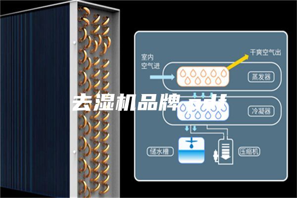 去湿机品牌.pdf