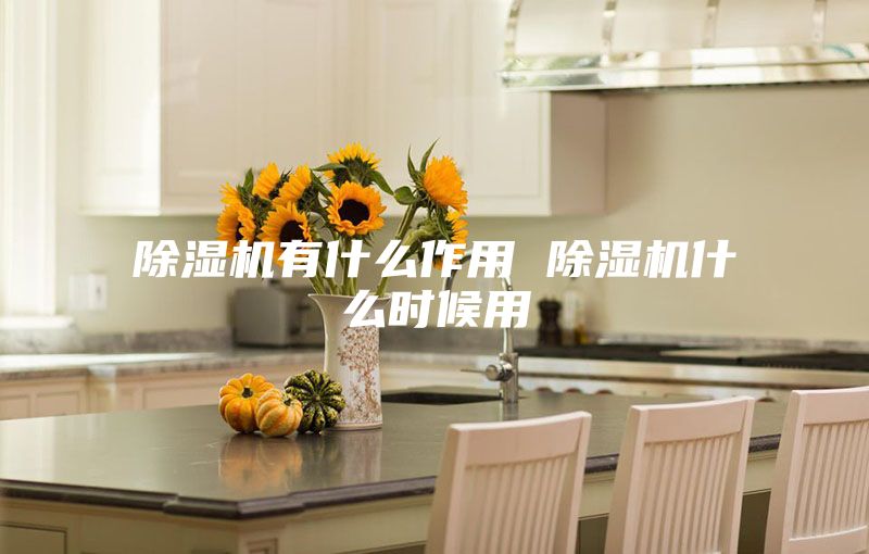 除湿机有什么作用 除湿机什么时候用