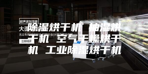 除湿烘干机 抽湿烘干机 空气干燥烘干机 工业除湿烘干机