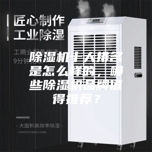 除湿机十大排名是怎么样的，哪些除湿机品牌值得推荐？