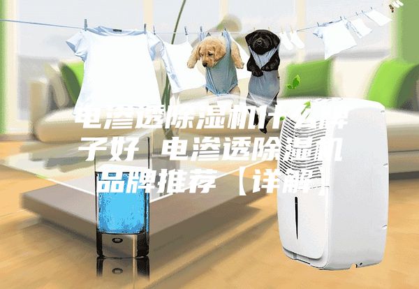 电渗透除湿机什么牌子好 电渗透除湿机品牌推荐【详解】