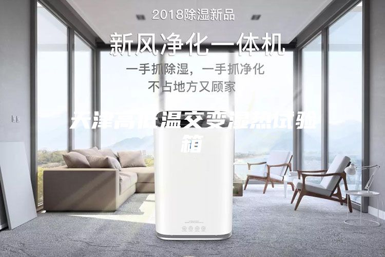 天津高低温交变湿热试验箱