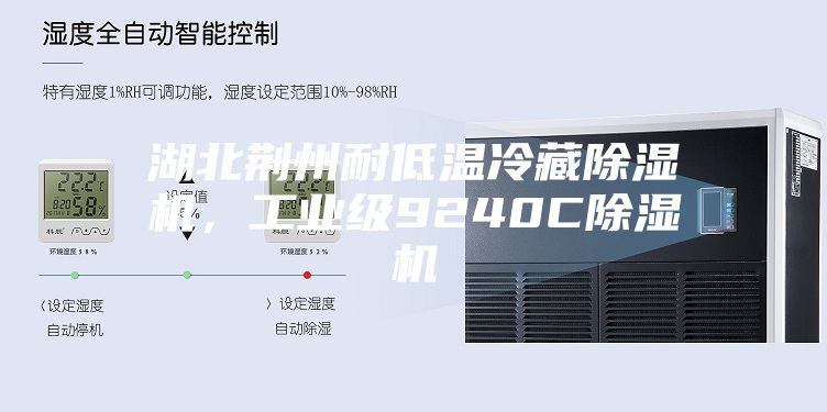 湖北荆州耐低温冷藏除湿机，工业级9240C除湿机