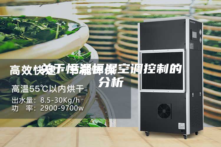 关于恒温恒湿空调控制的分析