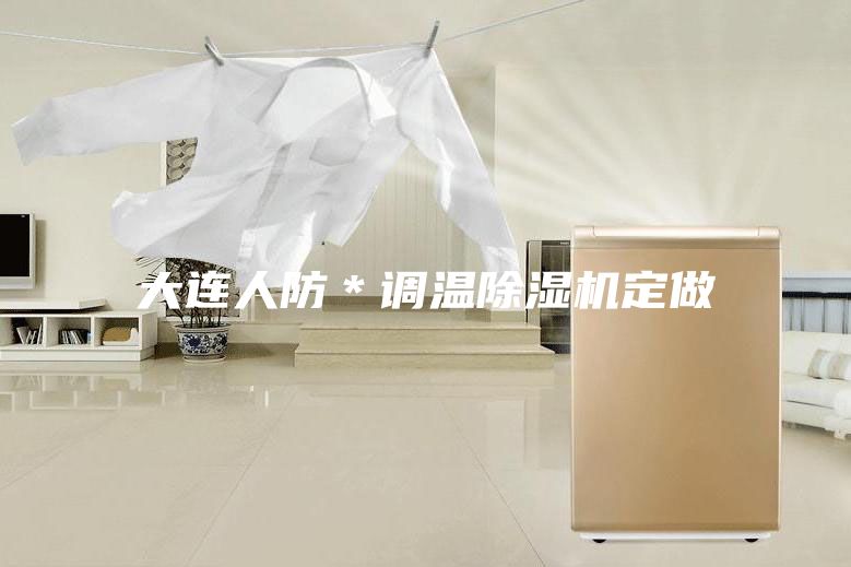 大连人防＊调温除湿机定做