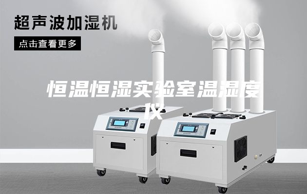 恒温恒湿实验室温湿度仪