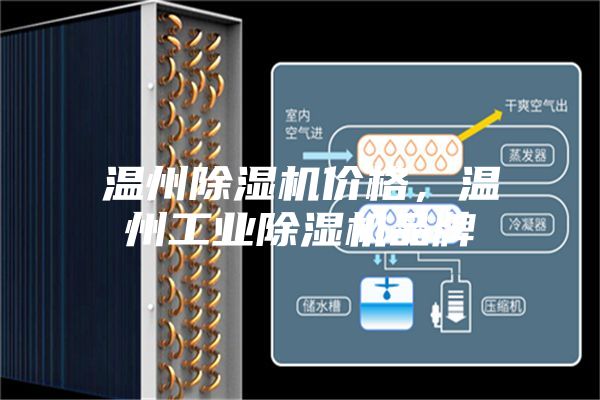 温州除湿机价格，温州工业除湿机品牌