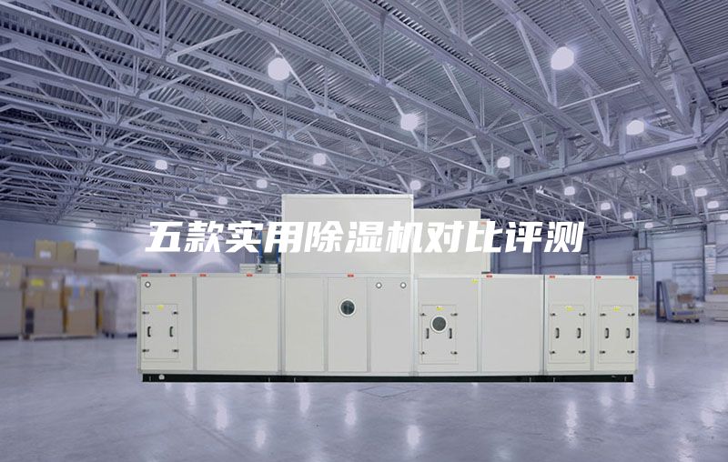 五款实用除湿机对比评测