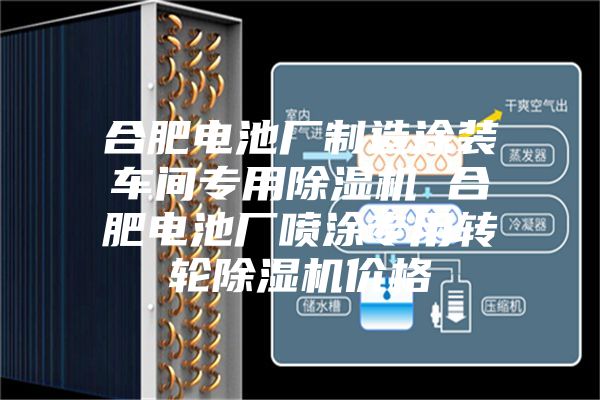合肥电池厂制造涂装车间专用除湿机 合肥电池厂喷涂专用转轮除湿机价格