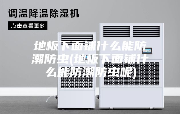 地板下面铺什么能防潮防虫(地板下面铺什么能防潮防虫呢)