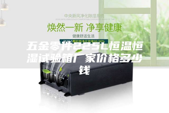 五金零件225L恒温恒湿试验箱厂家价格多少钱