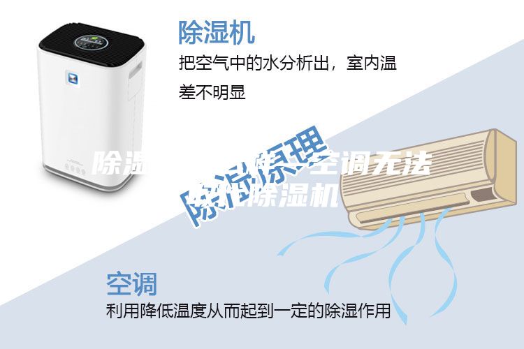 除湿机怎么样—空调无法取代除湿机