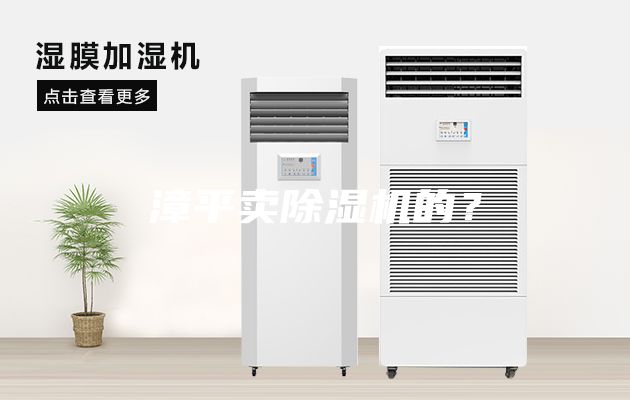 漳平卖除湿机的？