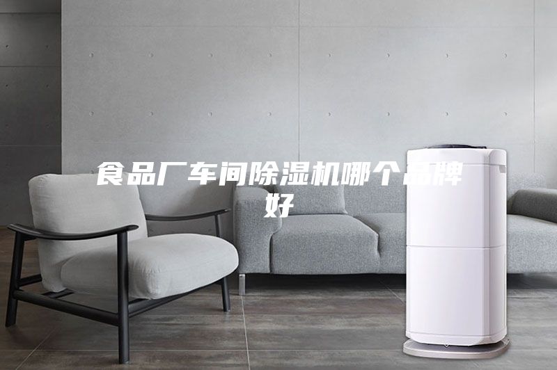 食品厂车间除湿机哪个品牌好