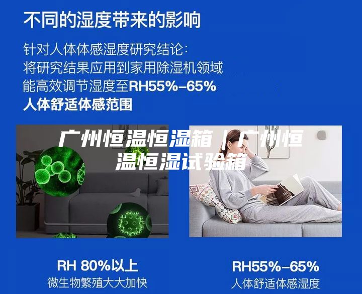 广州恒温恒湿箱｜广州恒温恒湿试验箱