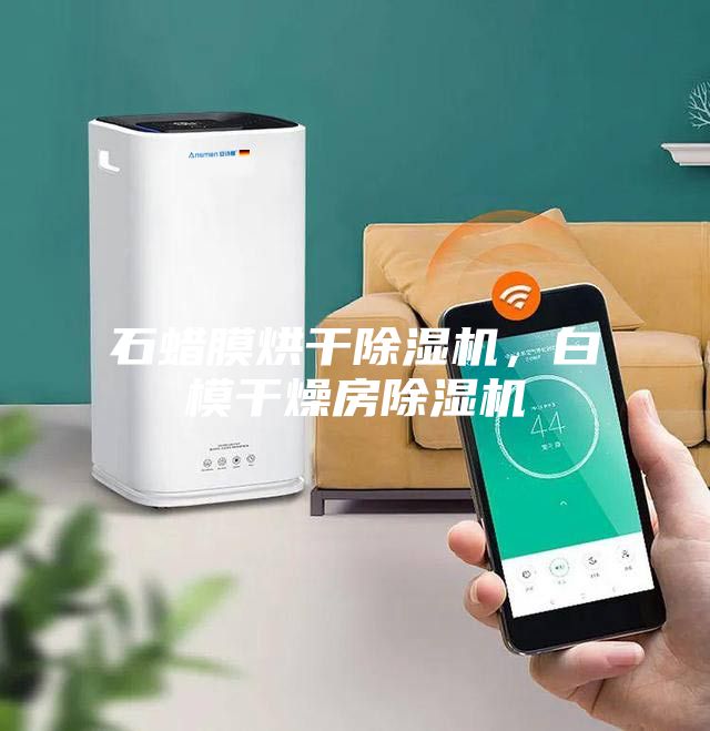 石蜡膜烘干除湿机，白模干燥房除湿机