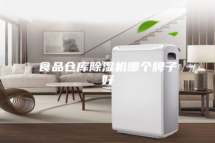 食品仓库除湿机哪个牌子好