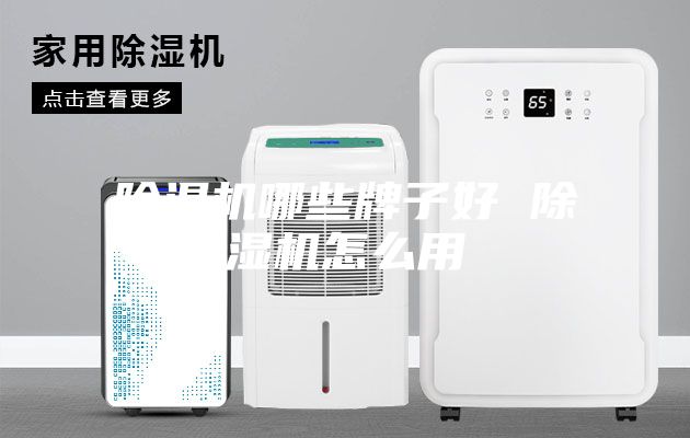 除湿机哪些牌子好 除湿机怎么用