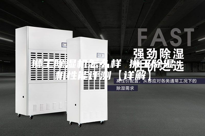 狮王除湿机怎么样 狮王除湿机性能评测【详解】