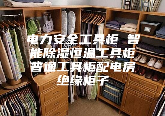 电力安全工具柜 智能除湿恒温工具柜普通工具柜配电房绝缘柜子