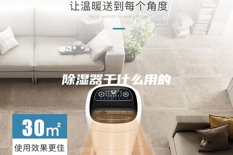 除湿器干什么用的