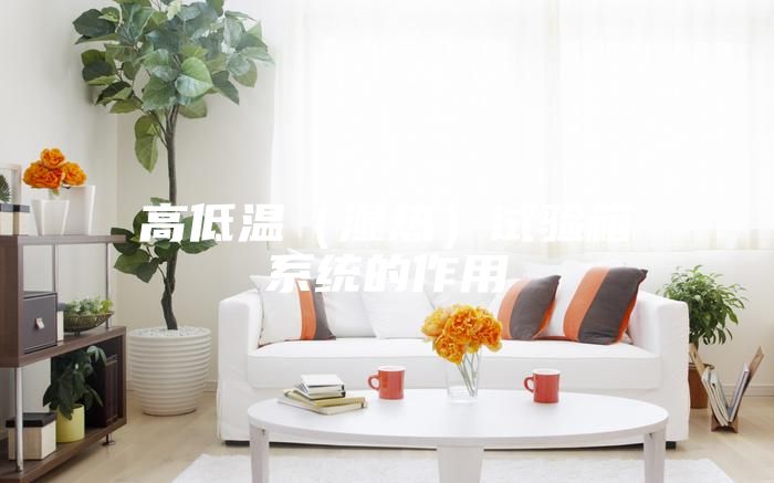 高低温（湿热）试验箱系统的作用