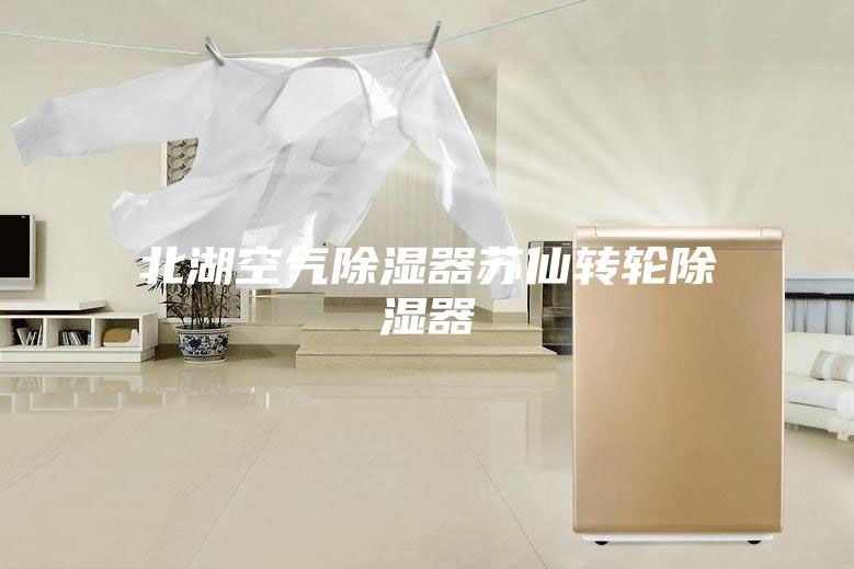 北湖空气除湿器苏仙转轮除湿器