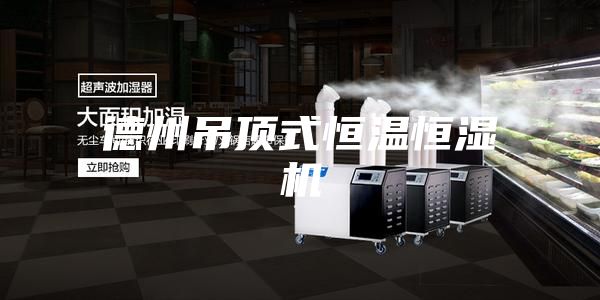 德州吊顶式恒温恒湿机