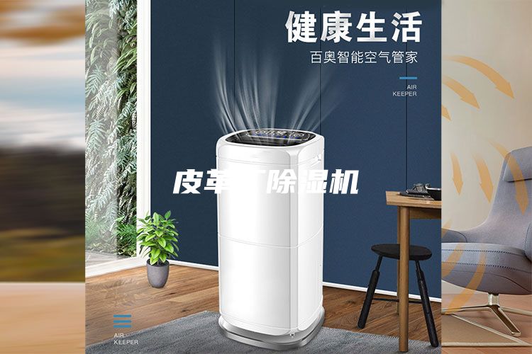 皮革厂除湿机