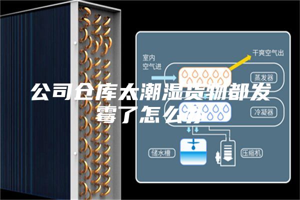 公司仓库太潮湿货物都发霉了怎么办