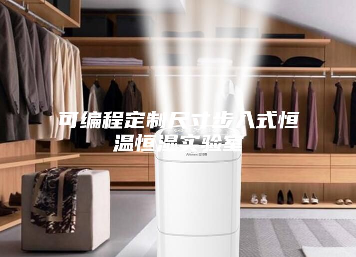 可编程定制尺寸步入式恒温恒湿实验室