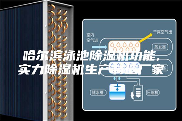哈尔滨泳池除湿机功能,实力除湿机生产制造厂家