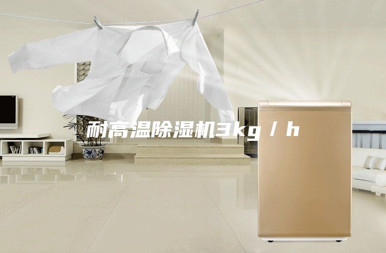 耐高温除湿机3kg／h