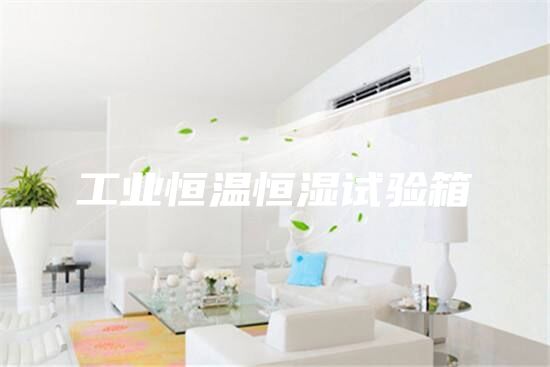 工业恒温恒湿试验箱
