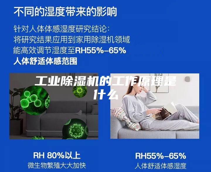 工业除湿机的工作原理是什么