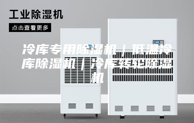 冷库专用除湿机｜低温冷库除湿机｜冷库转轮除湿机