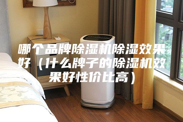 哪个品牌除湿机除湿效果好（什么牌子的除湿机效果好性价比高）