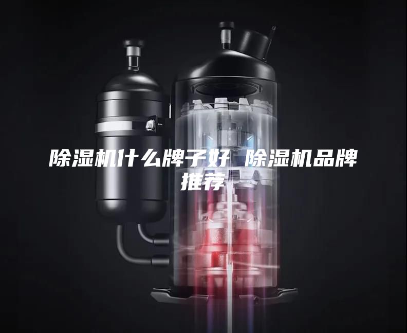 除湿机什么牌子好 除湿机品牌推荐