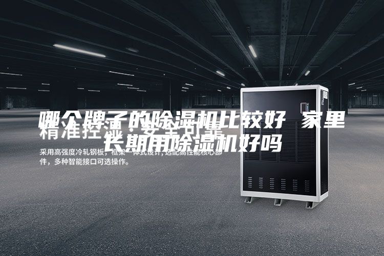 哪个牌子的除湿机比较好 家里长期用除湿机好吗