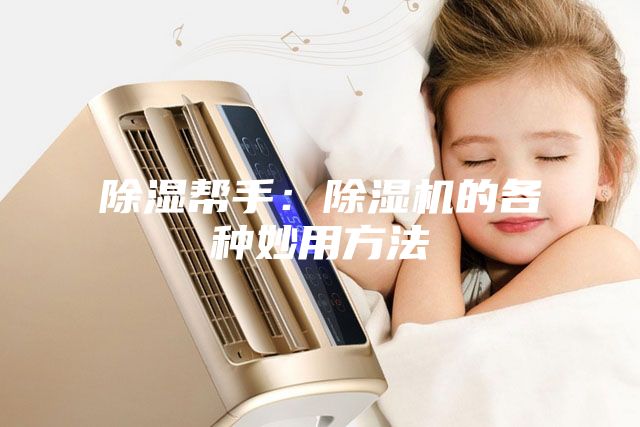 除湿帮手：除湿机的各种妙用方法