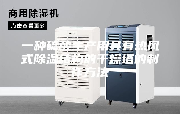 一种硫酸生产用具有热风式除湿结构的干燥塔的制作方法