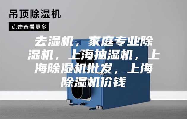 去湿机，家庭专业除湿机，上海抽湿机，上海除湿机批发，上海除湿机价钱