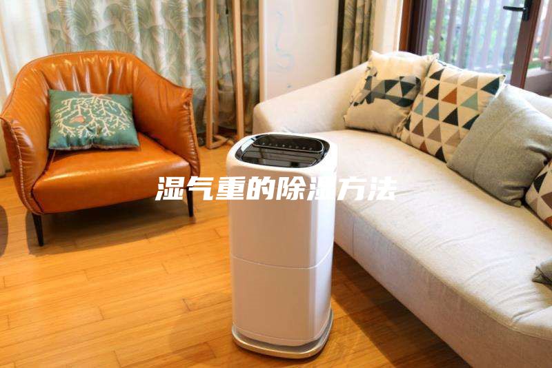 湿气重的除湿方法