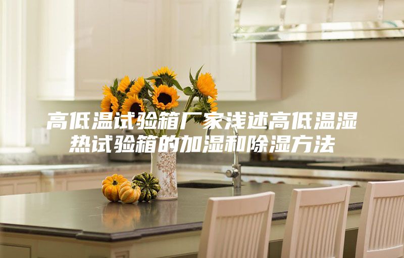 高低温试验箱厂家浅述高低温湿热试验箱的加湿和除湿方法