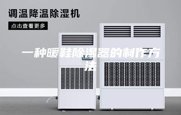 一种暖鞋除湿器的制作方法
