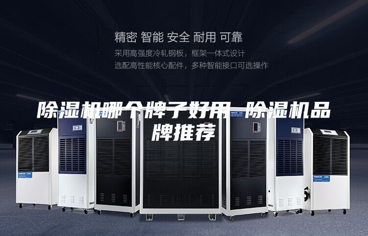 除湿机哪个牌子好用 除湿机品牌推荐