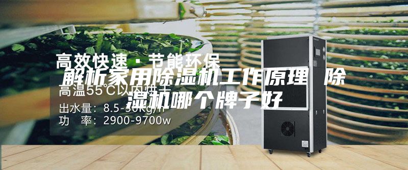 解析家用除湿机工作原理 除湿机哪个牌子好