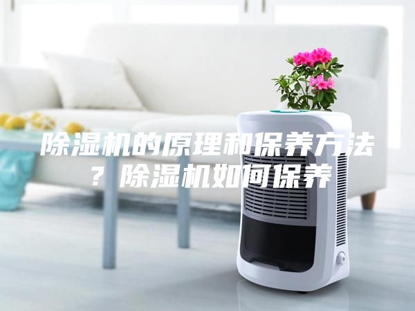除湿机的原理和保养方法？除湿机如何保养