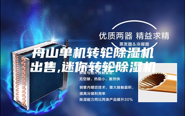 舟山单机转轮除湿机出售,迷你转轮除湿机